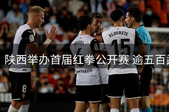 陕西举办首届红拳公开赛 逾五百武者展非遗风采